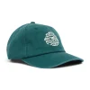 Paradigm Dad Cap - Forest Biome