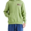 Tendril Hoodie - Tendril Green